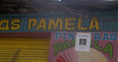 PINTURAS PAMELA PINTURAS PAMELA